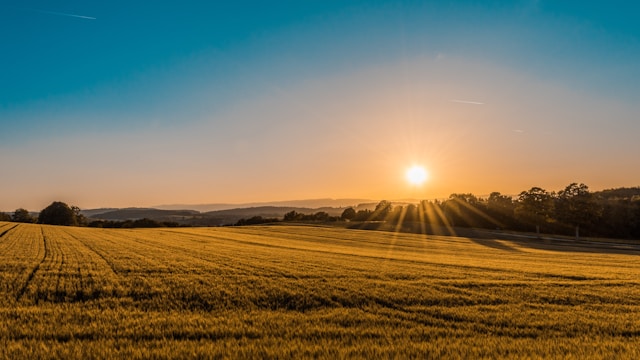 Toward the Rising Sun
