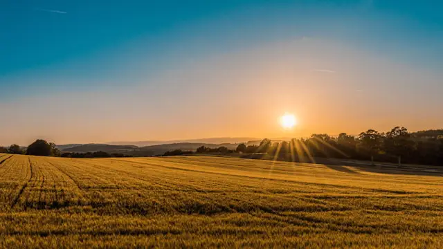 Toward the Rising Sun