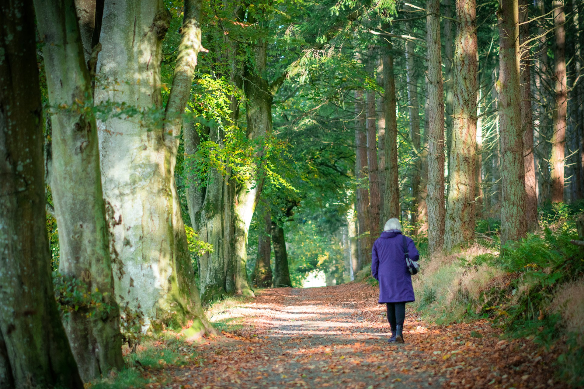 Synchronicity Lessons, Part 4: Set Clear Goals